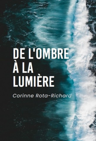 Roman De l'ombre à la lumière